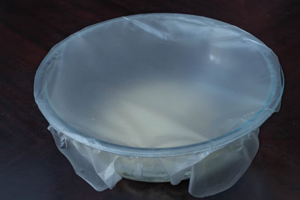 Bread dough covered in cling wrap.