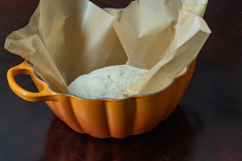 Bread dough in pumpkin-shaped dutch oven.