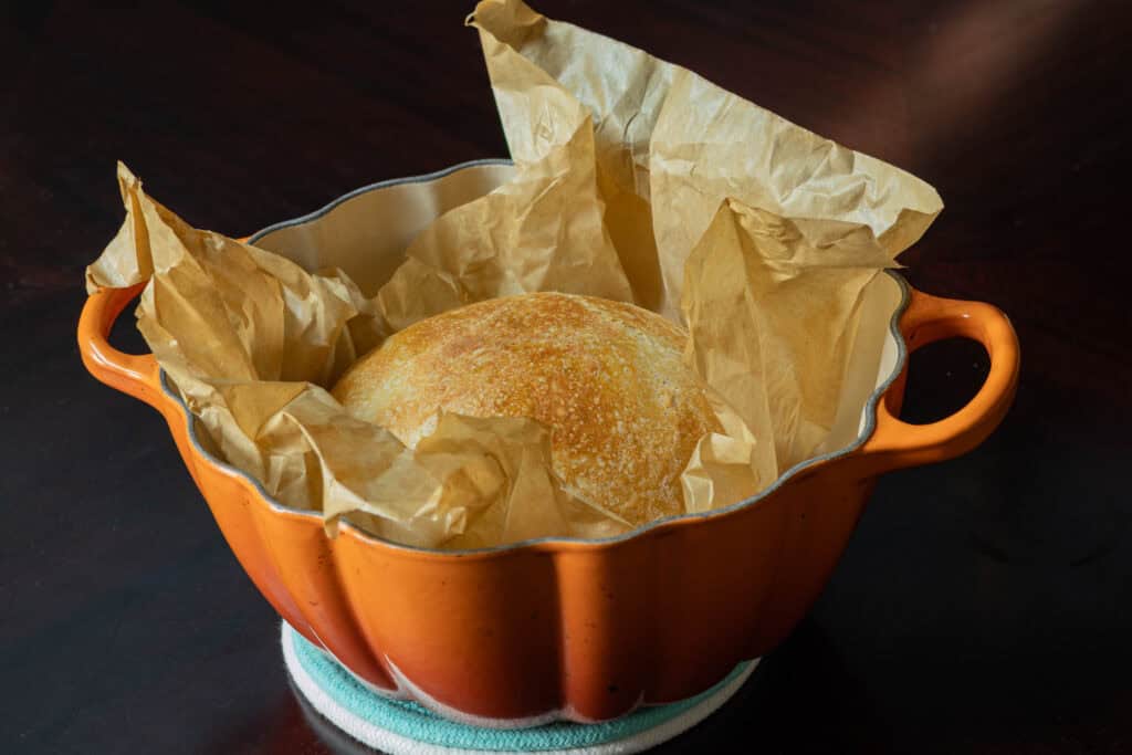 Freshly baked bread in pumpkin-shaped dutch oven.