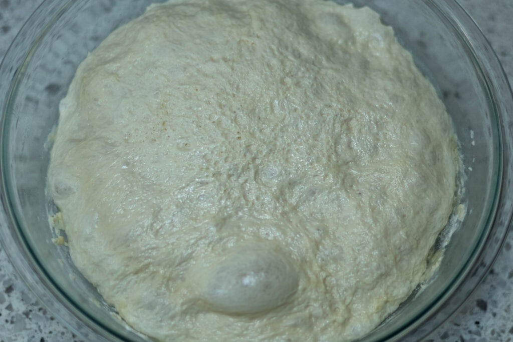Pizza dough after final proof.