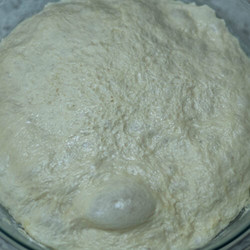 Bowl with proofed high protein pizza dough.