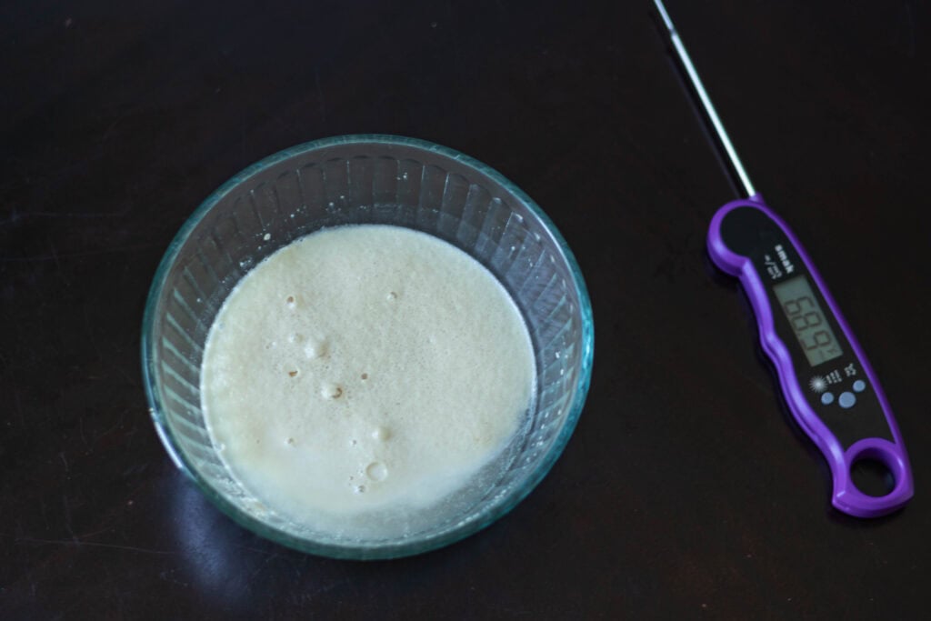 Water with yeast blooms sitting next to a thermometer.