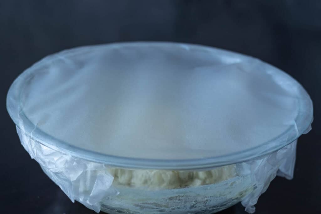 High protein pizza dough in a glass bowl with press and seal wrap on top.