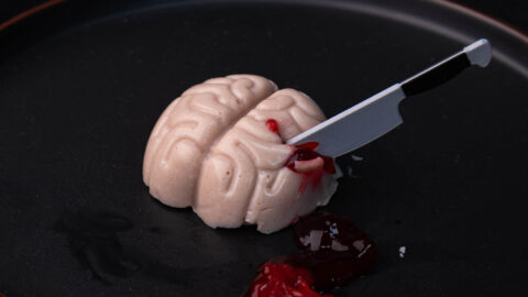 Vegan Protein “Jello” Brains | Protein Deficient Vegan